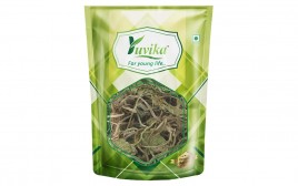 Yuvika YUVIKA-Brahmi Booti - Bacopa Monnieri Linn Centella Asiatica Linn- Indian Pennywort  Pack  100 grams